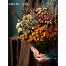 ɻ^õL滨IՏ͹ſ͏db[ŮѶYﻨ