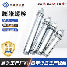厂家直供 支持定 制各种型号镀锌碳钢材质螺栓膨胀螺栓挂钩螺丝