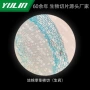 组织校用病理高校玻片