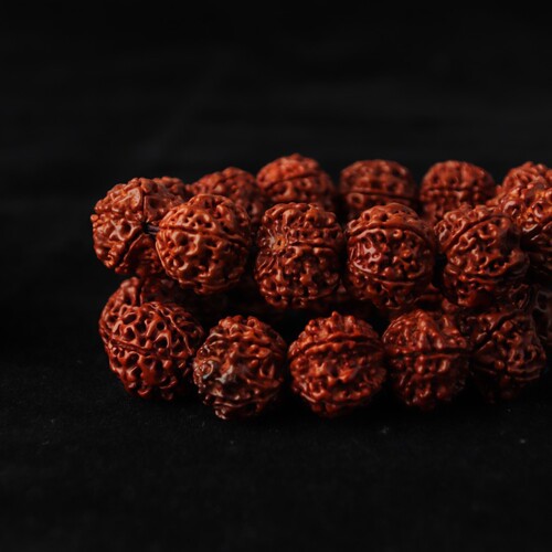 Five-Petaled Vajra Bodhi Bead Bracelet with Ox Horn Design, Nepalese Burst Meat Genuine Hand-Held Buddhist Rosary Original Seeds, Unisex Cultural and Craftsmanship Accessory