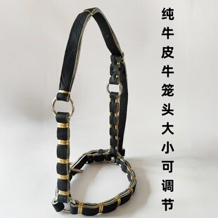 ��ţƤţ�R�\�^���^���׻\��˩ţ�R�Kţ�R�ߴ�С���{��