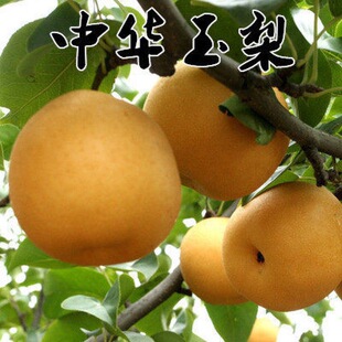 �F�����ּt�������� �ʹ�������� �޽����� ���������� Ʒ�N����