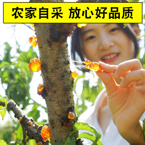 Natural wild peach gum 500g farm natural hand-picked impurities removed canned 1 catty bottle packaging jelly