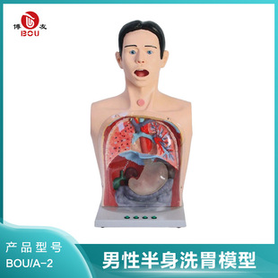 �������԰���ϴθģ�� ����θ�c�p�����ڱ�ϴθ��ϴθ��ģ�M��