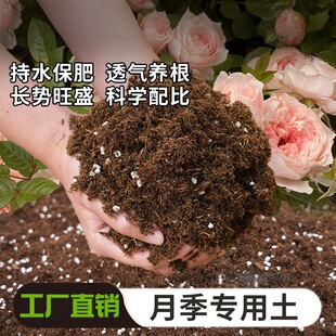 �¼����I�B���Nޱ���������̨�����¼�Ǥ���B�����猣ͨ�û���