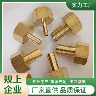 �����������^1��*6�������|�����������|�Ƚzú���|�C��Ƥ���^