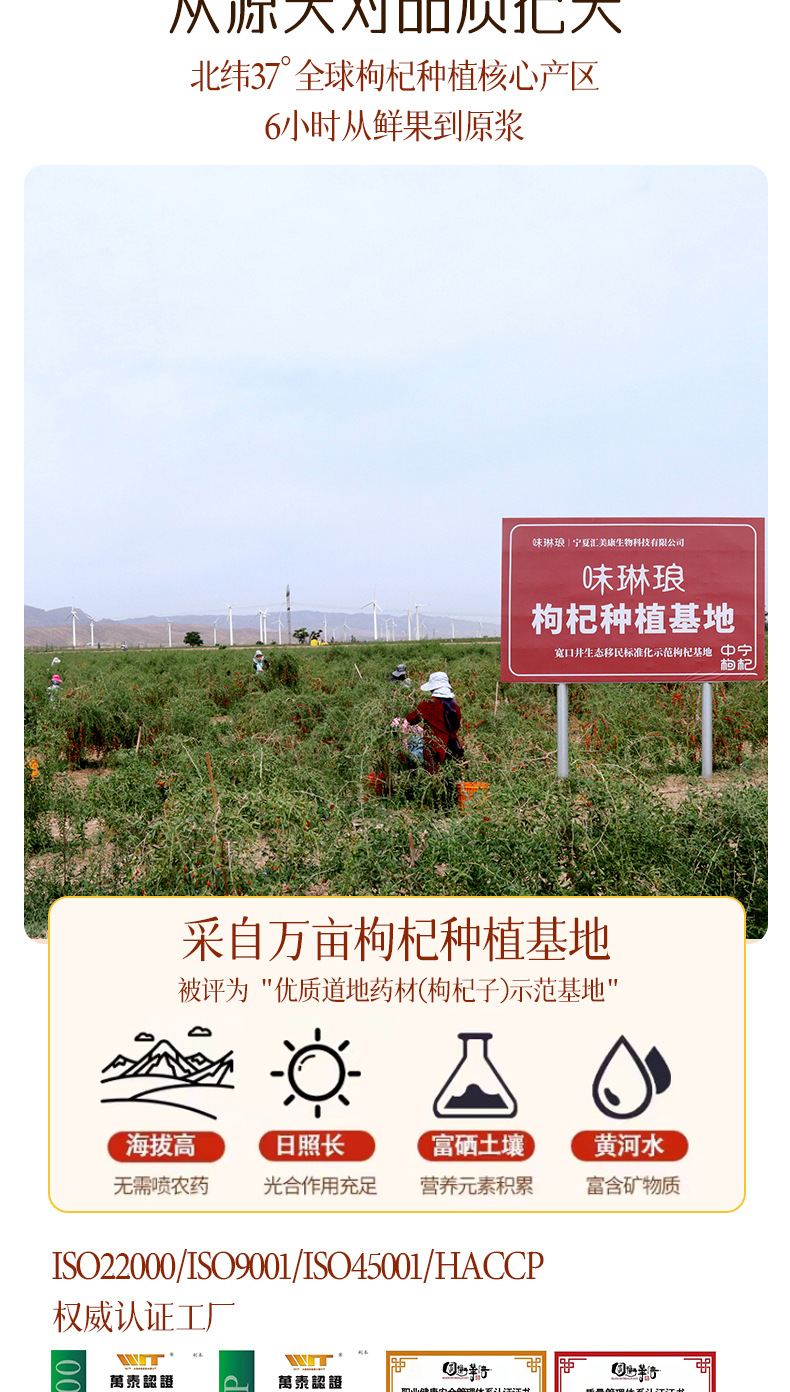 Ginseng Polygonatum Goji NFC Fresh Juice Blend Ready to Drink Herbal Wellness Beverage details
