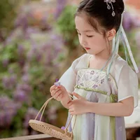 Hanfu Girls 2025 Новый летний детский стиль с короткими рукавами и вышивкой груди юбка детское легкое платье для девочек