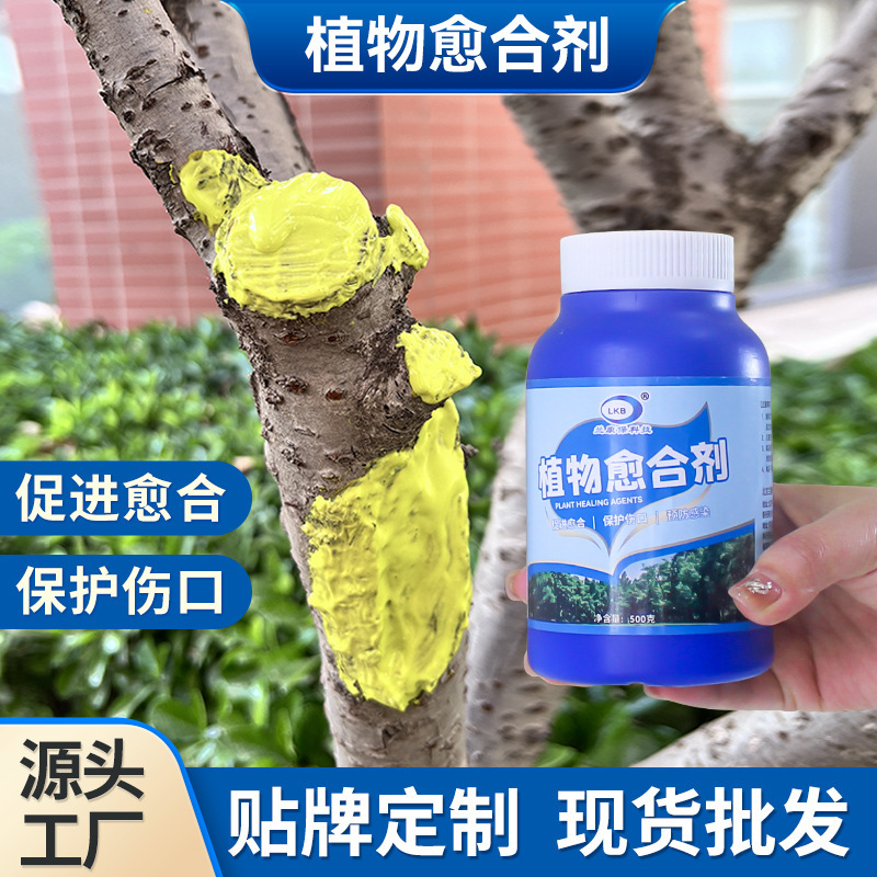 樹木傷口癒合剤植物塗布剤果樹塗布補剤癒合クリーム樹棒癒傷クリーム大木塗布剤|undefined