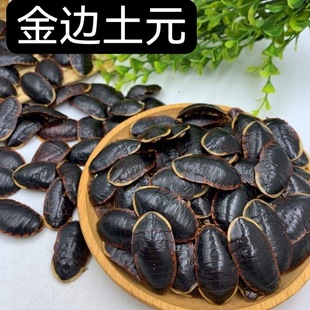 中药材金边土元金边土鳖虫非中华土元50-500克-阿里巴巴