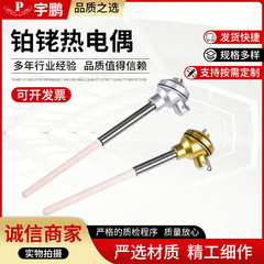 WRP130 コランダムチューブセラミック熱電対 1600 ℃ 貴金属製高温耐性熱電対S型白金ロジウム熱電対
