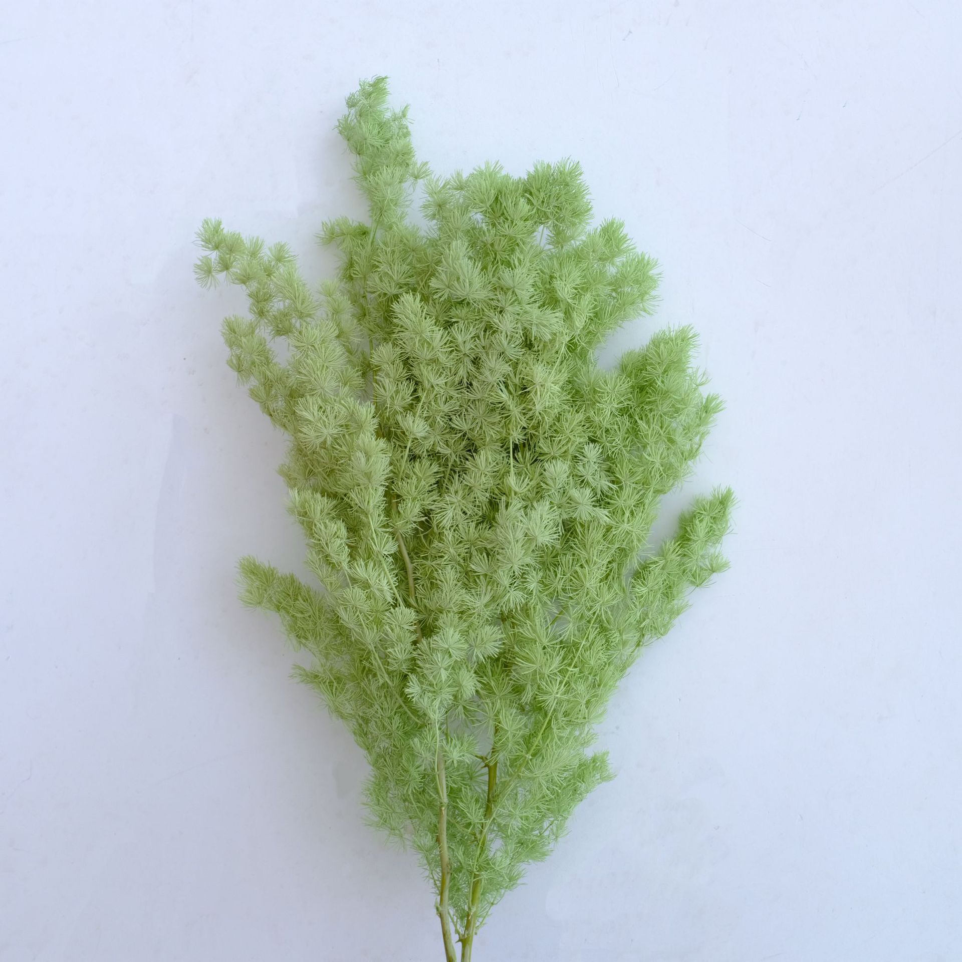 Apple green