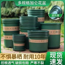 ���ϻ����̨�G�}���Ե��m��̖�ش�̖��֬�Ӂ������ÿظ�