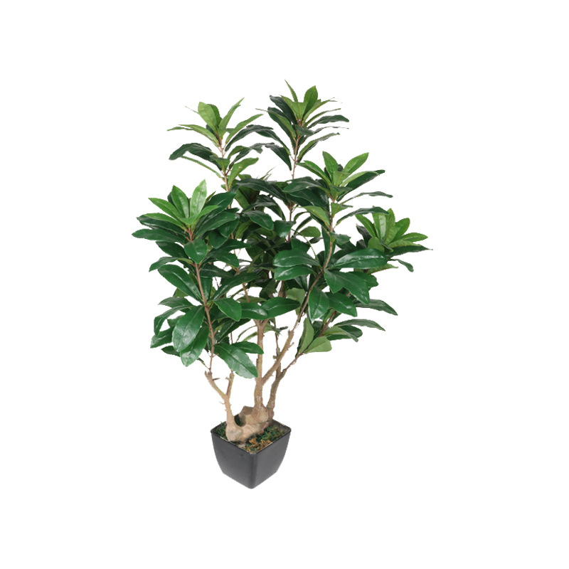 XRS-067 7#杨梅叶7#盆栽0 (4).jpg