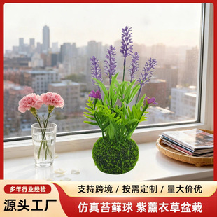 �羳���N����̦�\����ɫѬ�²������҃���Ҿ��b����Gֲ���S���l