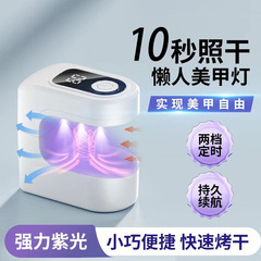 携帯型の小さい方の砂糖のネイルランプの小型のミニの光は速く乾きます。