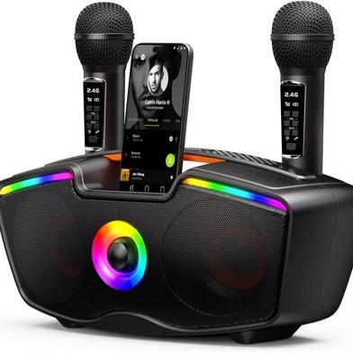 Sd-219 Bluetooth Speaker Wireless Dual Microphone Karaoke Home Kidsren's Karaoke Machine Outdoor Portable Satchel Audio