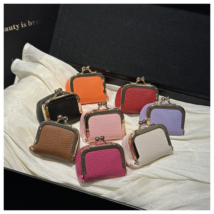 Nuovo stile autunnale Mini portamonete fresco Borsa con chiusura a scatto Elegante piccola borsa quadrata da donna per riporre alla moda_voghion.com
