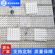 ABS整体浇筑滤板 塑制滤板配置可调滤头整体现浇滤板 安联诚冠