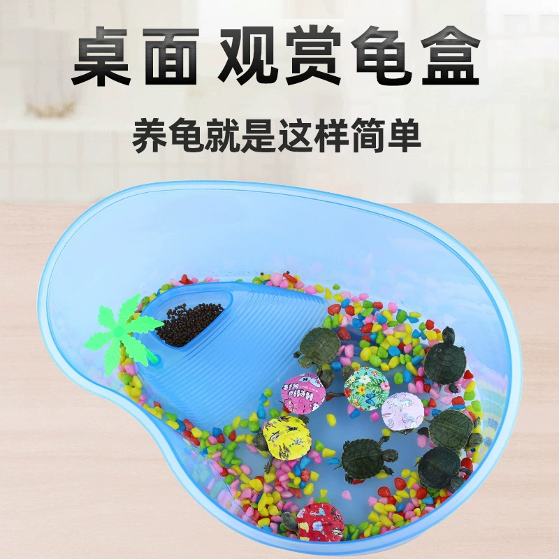 Черепаховая коробка с сушильной стойкой Коробка для разведения синего манго пластиковый горшок черепахи Домашняя горшок черепахи Экологический настольный ландшафтный цилиндр