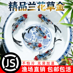 �m���ݲݽ��~���~�\���~���^�p�~��ˮ�~��ˮ�~С���ͻ���wС���~