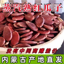 红结婚大粒农家瓜子直销生红瓜子产地广西特产原味葵花子包装其他