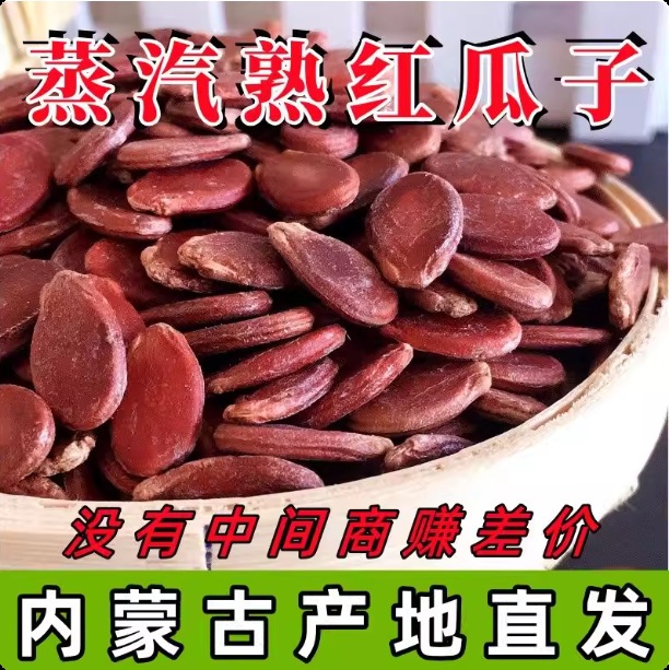 红结婚大粒农家瓜子直销生红瓜子产地广西特产原味葵花子包装其他
