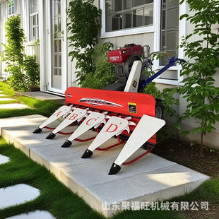 �S���������C ��ĸ�ݱ��ɺ������ո�C ���~���Ͳ�ˮ����C