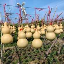 ��Ȼ���J�[������͏d���Pƽ���ش�̖���J��������^���J