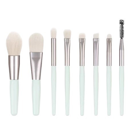 Pequeño conjunto de cepillo de maquillaje Cangzhou de 8 piezas para principiantes portátil cepillo de sombra de ojos de pelo suave cepillo de base cepillo de blanqueador herramientas de maquillaje