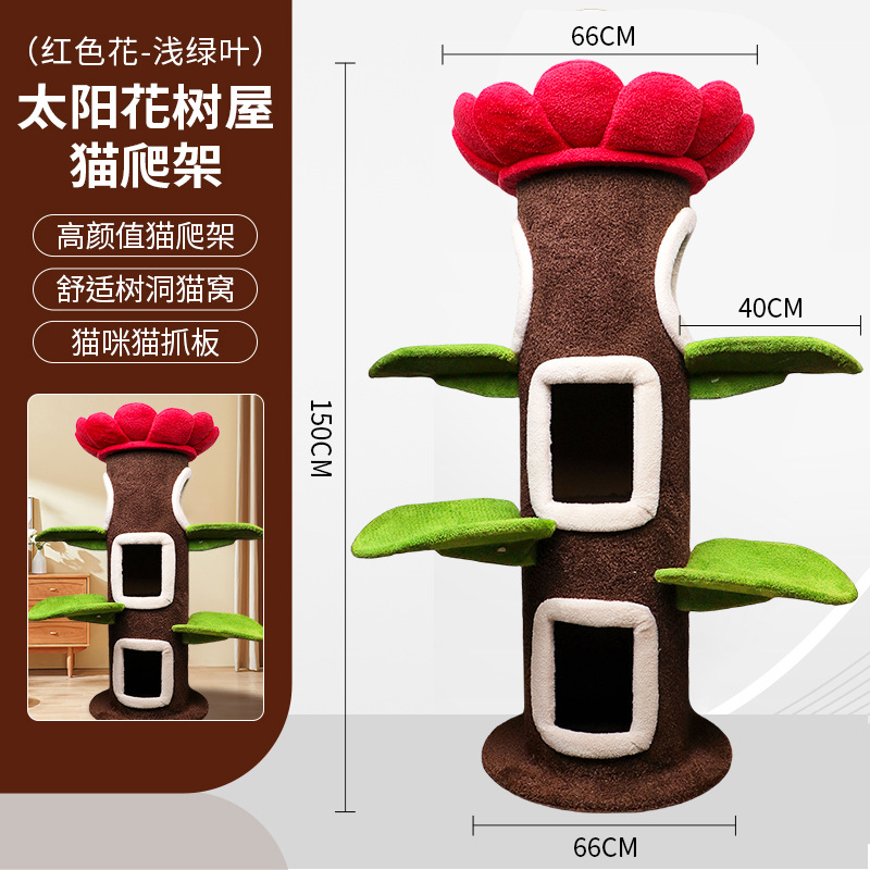 [큰 고양이 나무] 붉은 꽃이 위로 향함 + 연한 녹색 잎