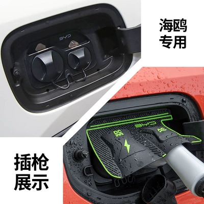Other Automotive Exterior Supplies: Hidden Charging Gun Rain Cover - byd-seagull