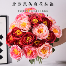 ˮɽ軨 滨ӼP[ܽșĔzɽ軨F؛