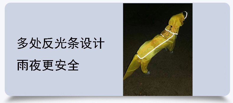 f418d670-96b8-4883-9fb3-5a5416288572.jpe