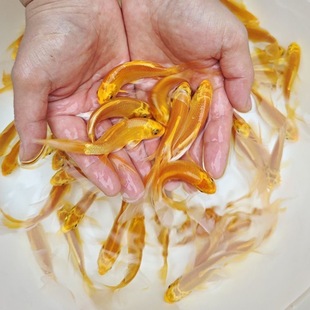 �\����ˮ���~�^�p�~���~���B�ͻ��Lˮ��ˮ���~�~�����P�羳һ��