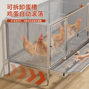 鹦鹉鸟笼及配件