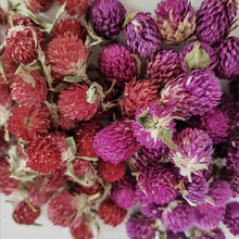 ǧ����ǧ�ռt�ɻ��^��Ȼֲ���L�� ��ϏS��ֱ�N���l DIY�ֹ�����