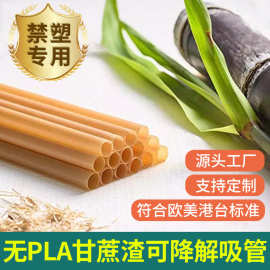 外贸跨境亚马逊食品级可降解甘蔗渣吸管奶茶饮料咖啡一次性吸管