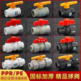 批发ppr水管管件阀门钢芯球阀热熔双活接阀门配件全塑冷水管开关4