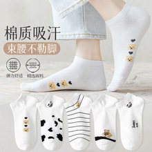 �T���m��Ů�ɐ���ϵ���m���챡�����mŮ���\��͸�����|��ͨ���m