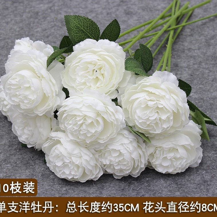 외국 모란의 흰색 단일 지점/1 지점