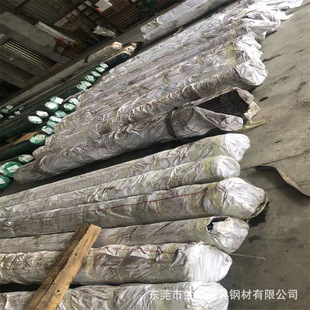 �������ģ��� ��䓰� ��䓰� ����ë�� ��ĥ�� �g�Ժ� ����