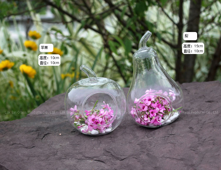 Creativo florero de vidrio transparente en forma de fruta jarrón colgante micro florero paisaje decoración artesanal