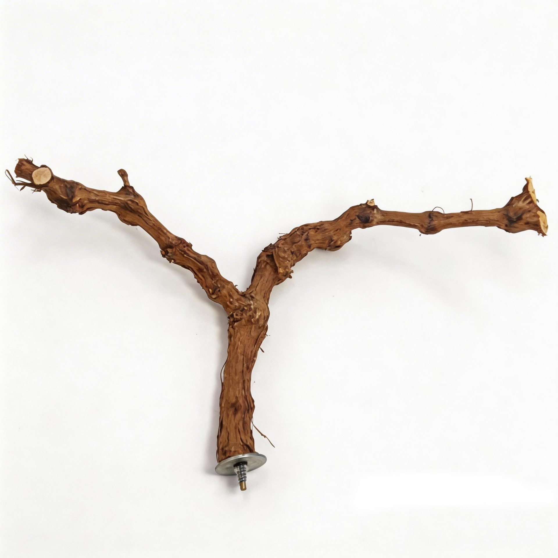 Percha de Madera de Vid de Doble Rama para Loro y Aves image 12