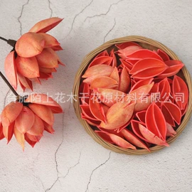 仿真果蔬;干花;植物工艺品