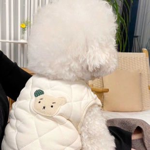 Autumn and Winter Clothing Thickeneded Pet Cotton Coat Teddy Vip Bichon Pomeranian Cat Small Size Dogs Dog Clothes Winter Hongzhi