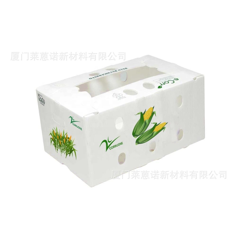 Caja de frutas y verduras de placa hueca pp personalizada plegable impermeable frutas y verduras frescas de transporte de cadena de frío Caja de plástico de calcio image 17