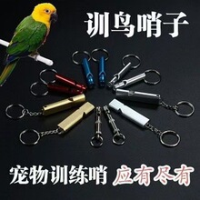 Ӗ����Ʒ�p�ܽ���ӖȮ�ѹ����l��������Ӗ�B�W�^���ӷ��w���ӿ���