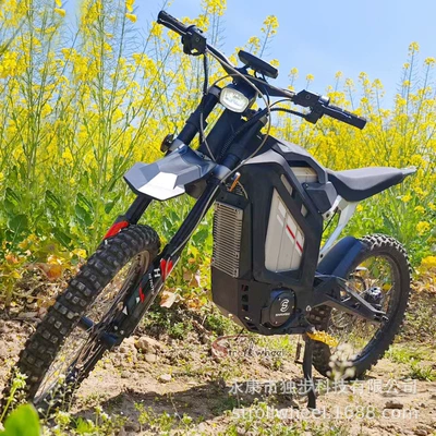 Cross-border export: 8000W Elektrikli motosikletlər