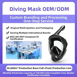 浮潜套装;脚蹼、手蹼;泳镜